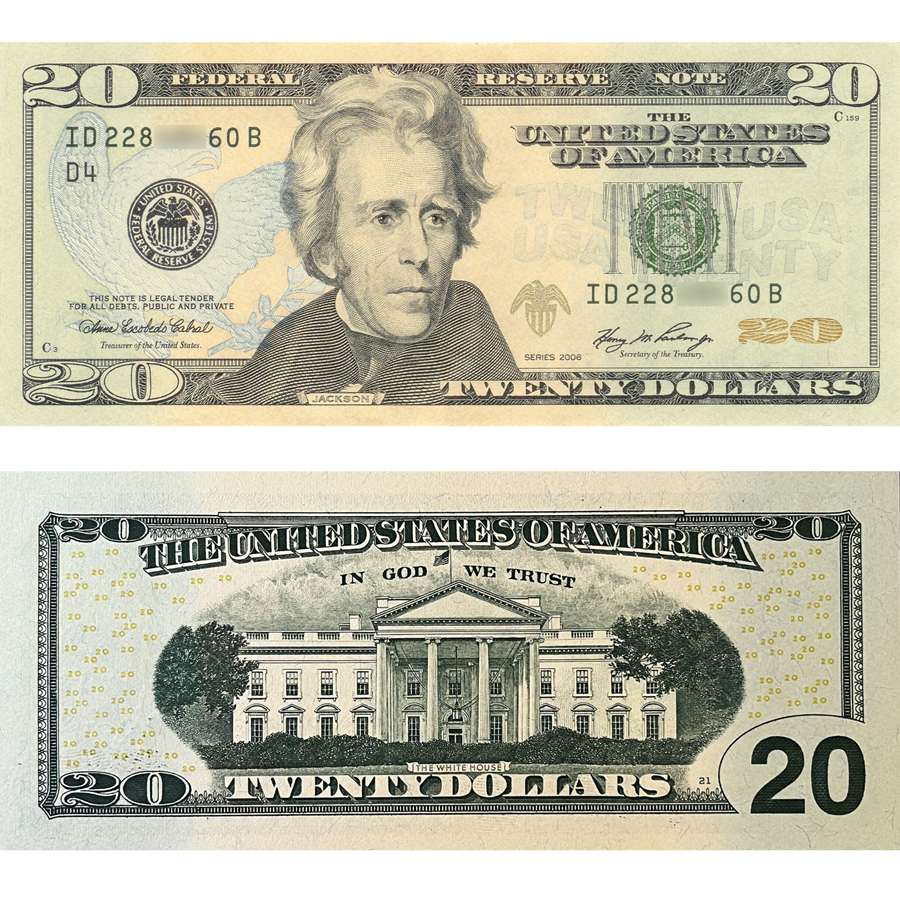 20 Dollar Twenty Dollar Note